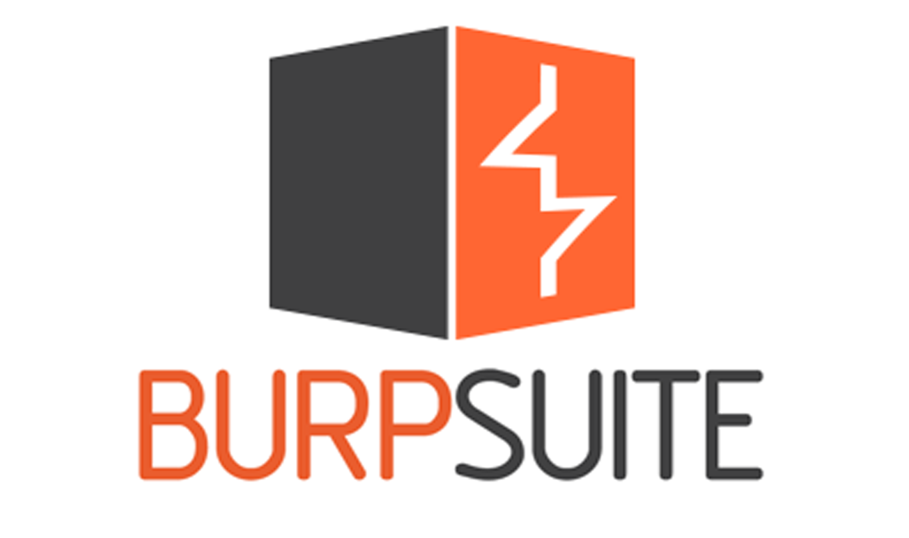 burp suite logo